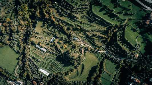 Your Path Forward in Regenerative Food & Agriculture