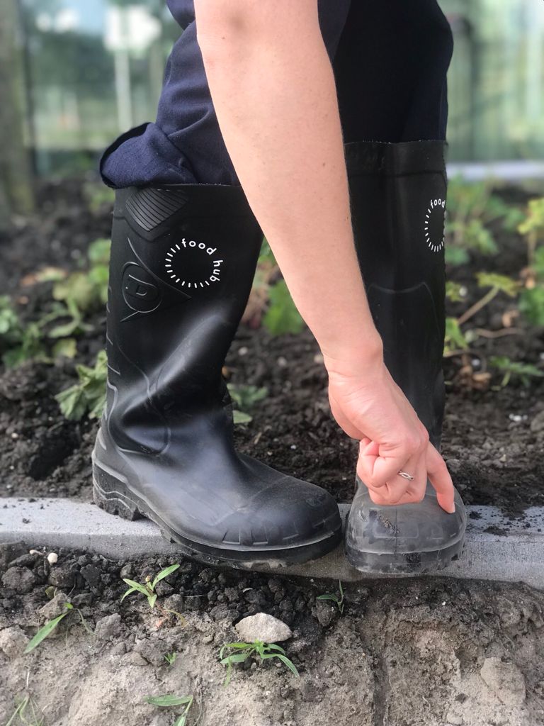 Regeneratieve Landbouw