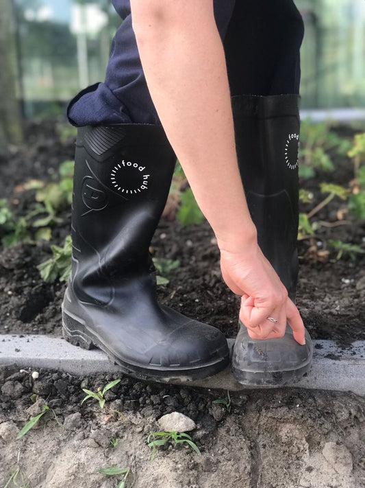 Regeneratieve Landbouw